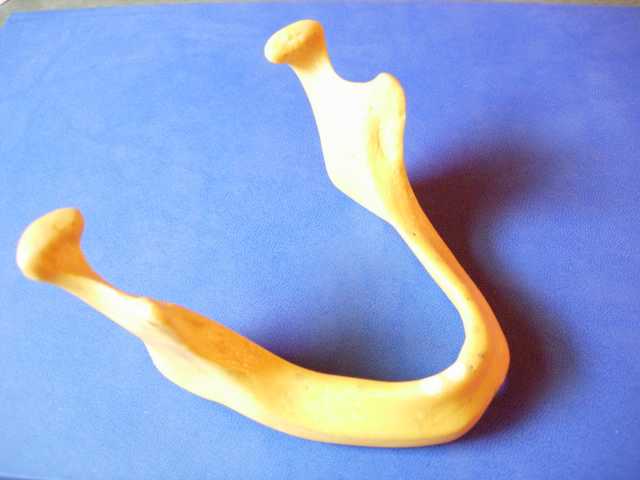 winmed_galileo_sperimentale_sito_html_m56c8c650.jpg